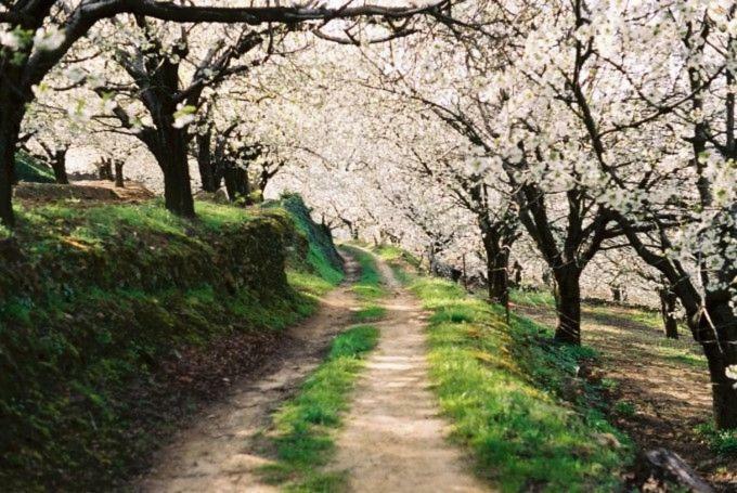 Apartamento Rural San Jorge Bajo 纳瓦孔塞霍 外观 照片